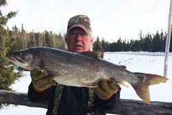 English Shores Outfitter and Resort Walleye Fishing